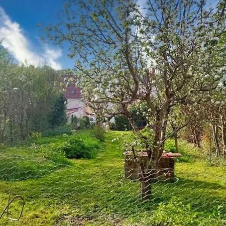 Maison De Caractere A 10 Minutes Du Zooparc Beauval Villentrois-Faverolles-en-Berry Eksteriør bilde